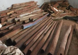 750 Kg Ganja Hidden Under Onion Sacks Seized in Bengaluru