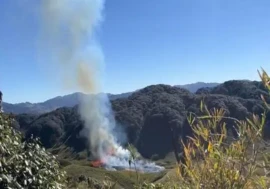 Four Trekkers Rescued as Wildfire Erupts in Dzükou Valley; Trekking Banned