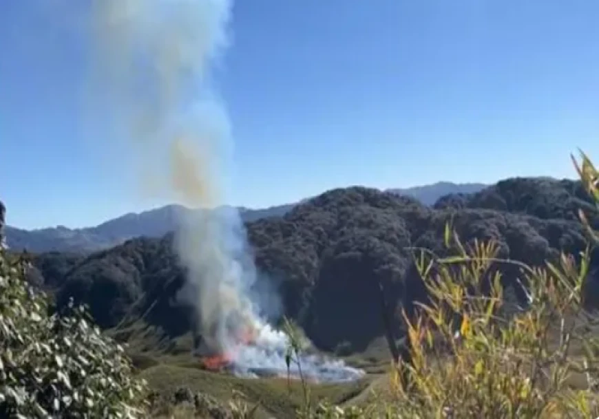 Four Trekkers Rescued as Wildfire Erupts in Dzükou Valley; Trekking Banned