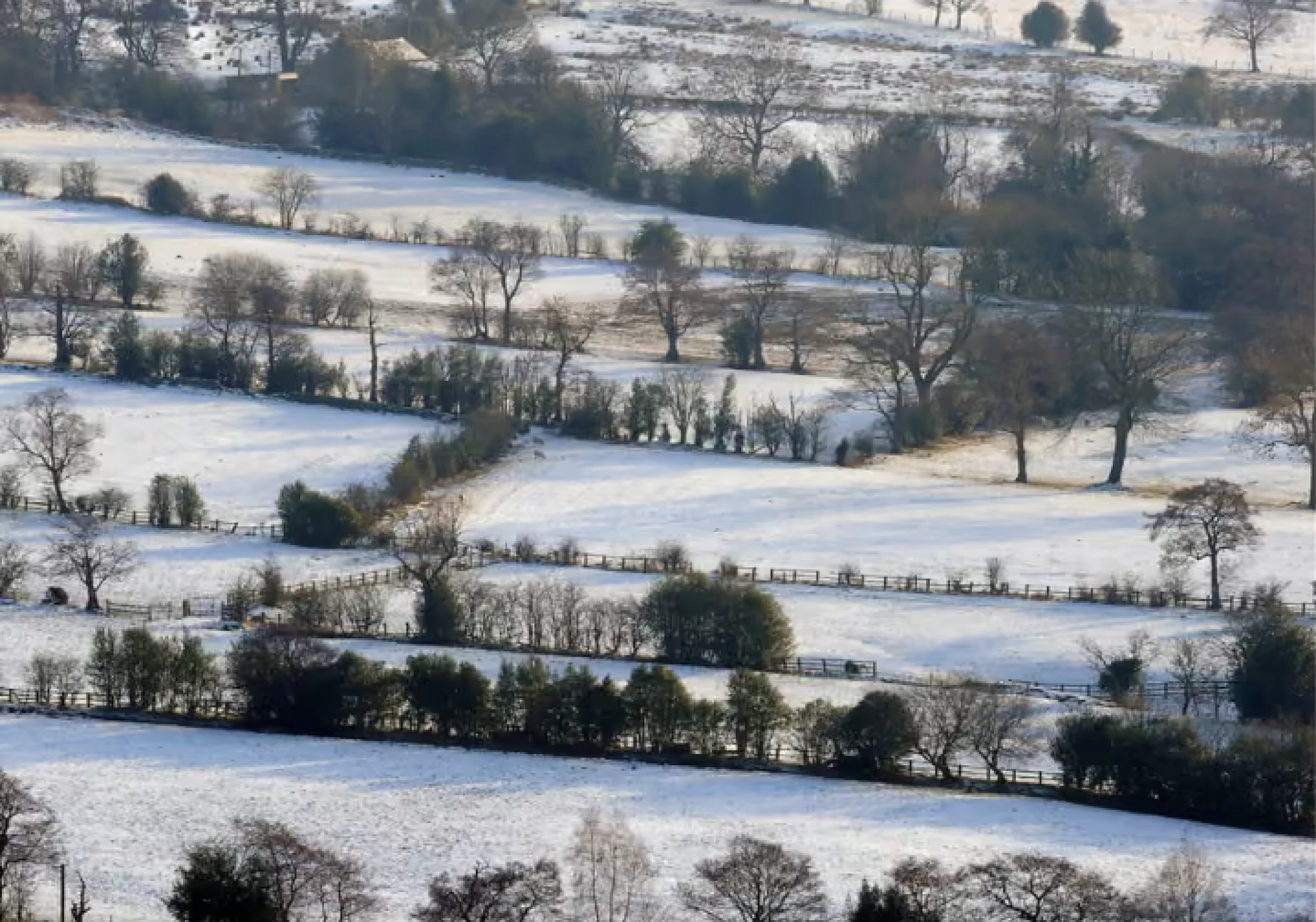 Chance of Snow in the UK on Christmas Day: Will Britain See a White Christmas?