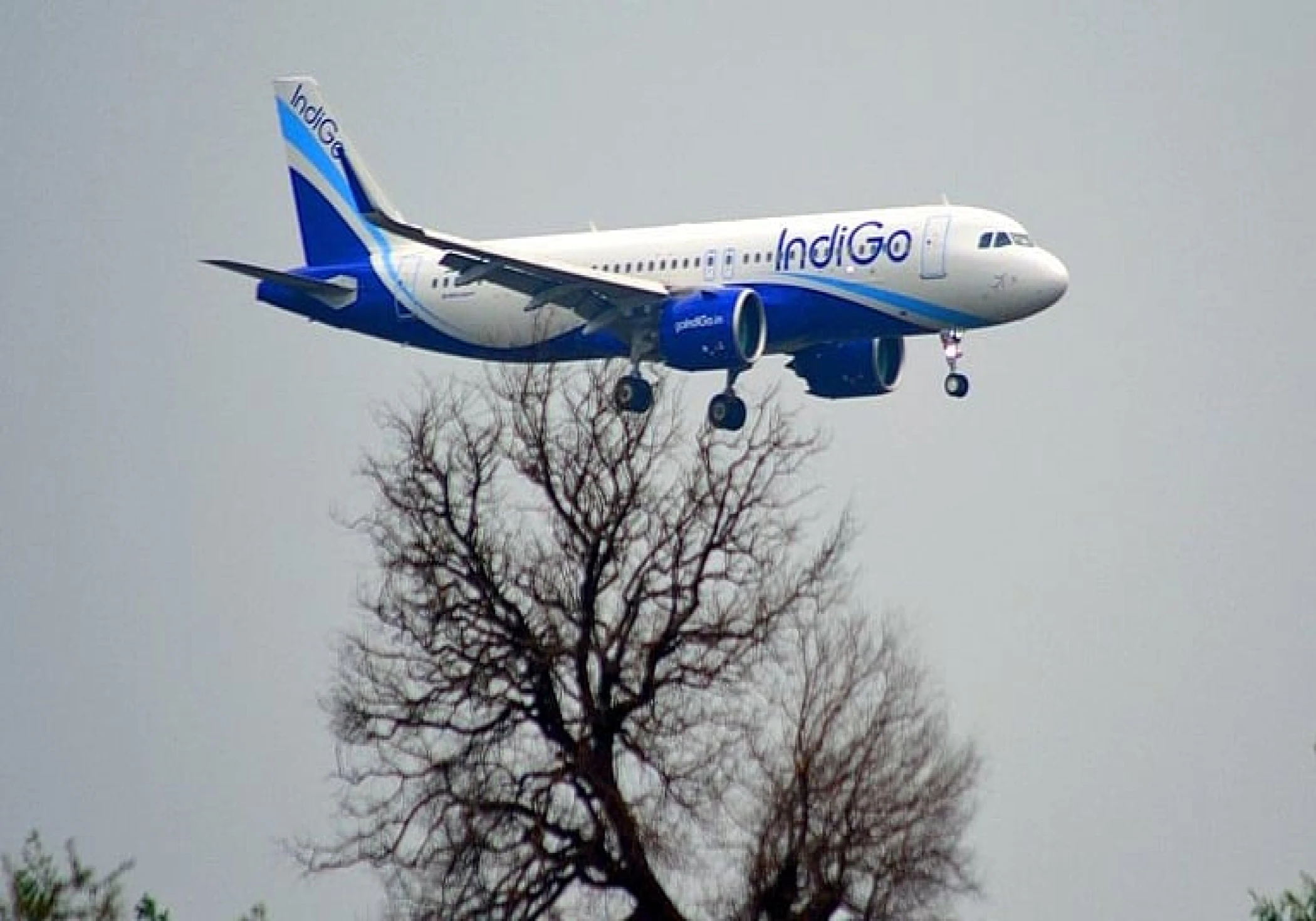 Madurai-bound Private Flight Returns Mid-Air After Technical Snag Madurai-bound Private Flight Returns Mid-Air After Technical Snag