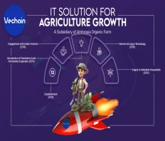 VeChain Marks a Decade of Innovation and Sustainability in Organic Agriculture