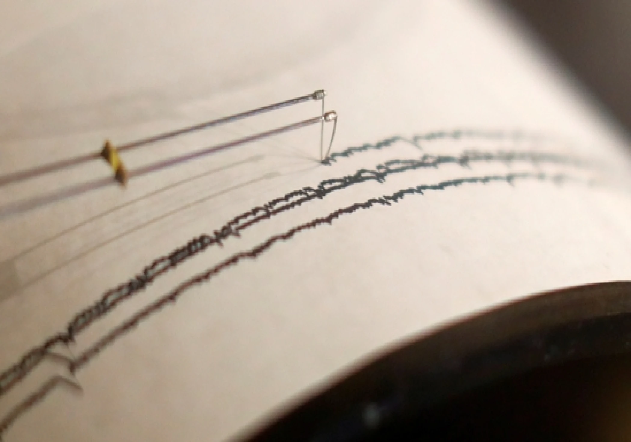 Mild Earthquake of 3.6 Magnitude Strikes Jammu and Kashmir Mild Earthquake of 3.6 Magnitude Strikes Jammu and Kashmir