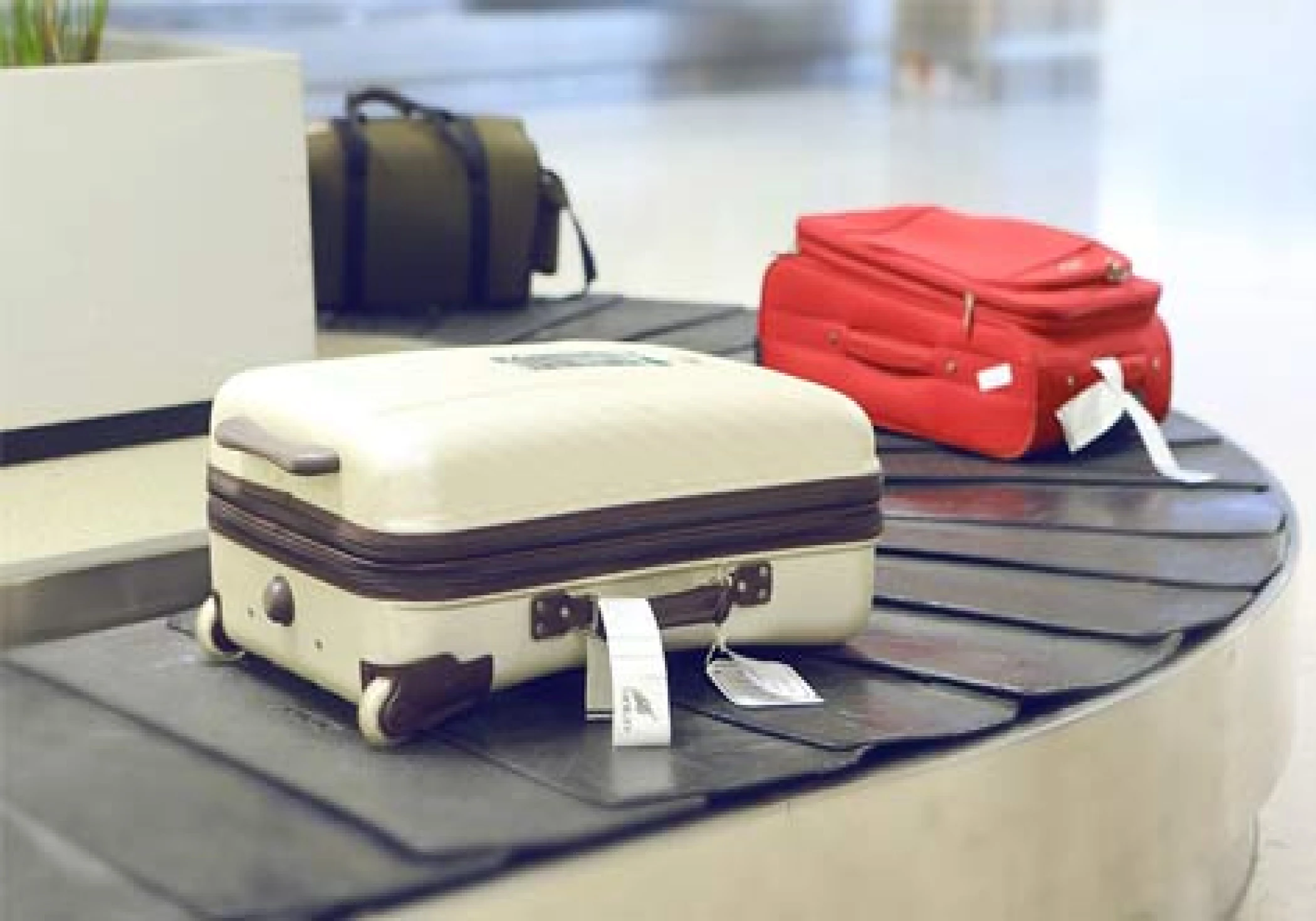 India Mandates Airlines to Ensure Baggage Delivery Within 30 Minutes of Arrival or Face Consequences