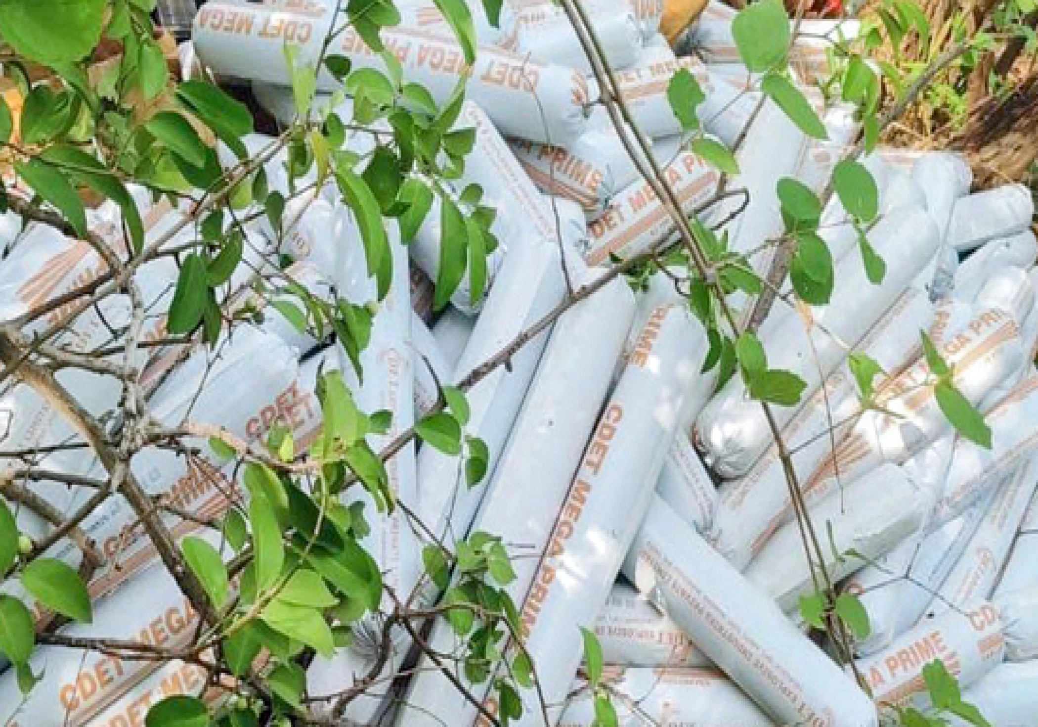 Naxals Trigger IED Blast in Chhattisgarh's Sukma District; Police Official, Others Injured Naxals Trigger IED Blast in Chhattisgarh's Sukma District; Police Official, Others Injured
