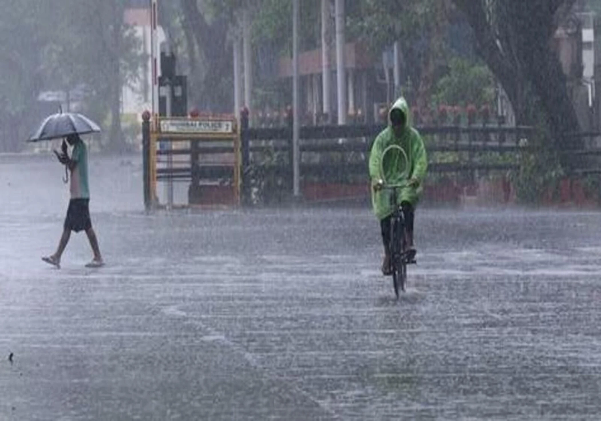 More Rain Expected in UAE This Week, But No Need to Worry More Rain Expected in UAE This Week, But No Need to Worry
