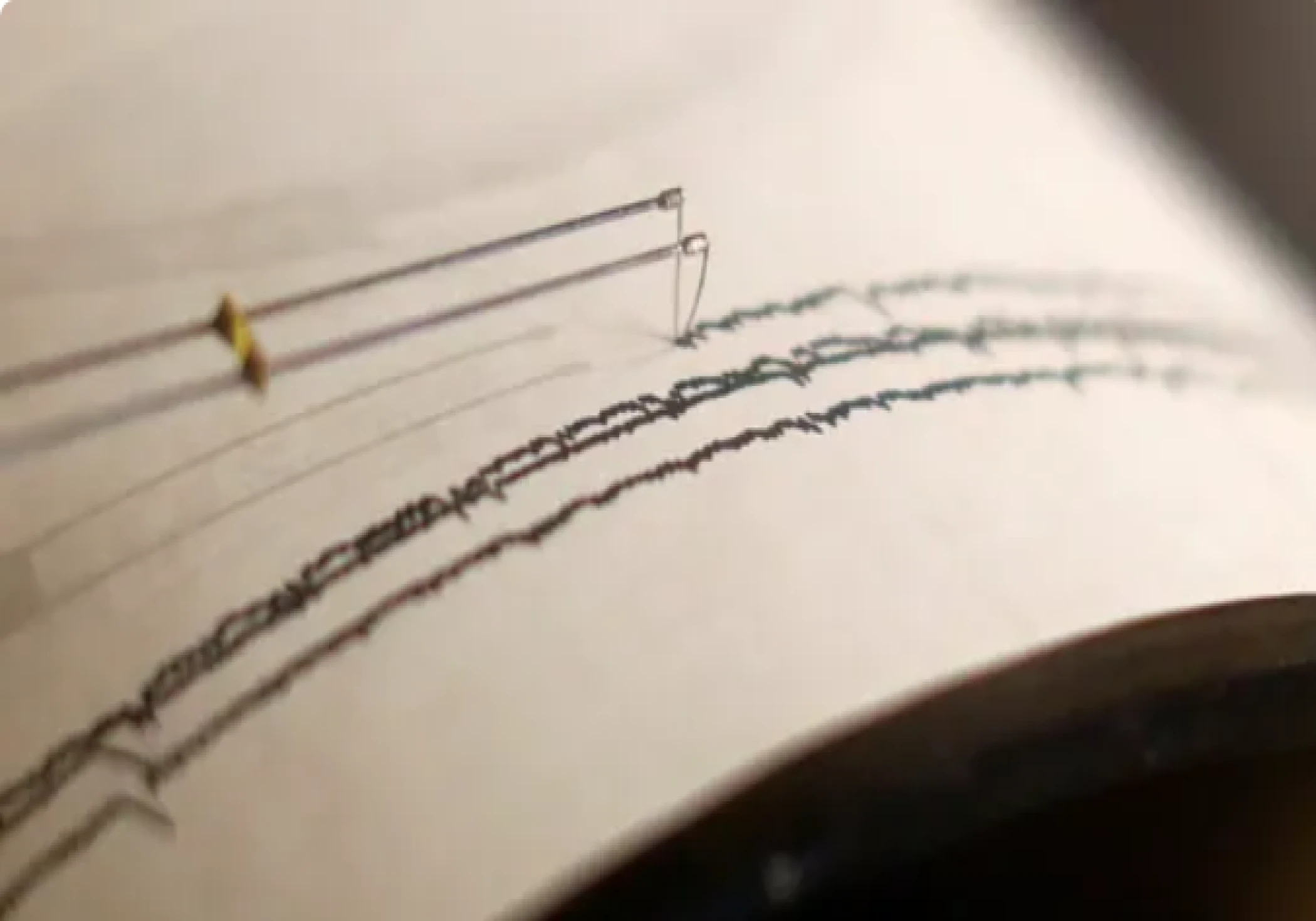 Tremors Felt in Assam, Manipur, Nagaland After 4.7 Magnitude Earthquake Jolts Myanmar