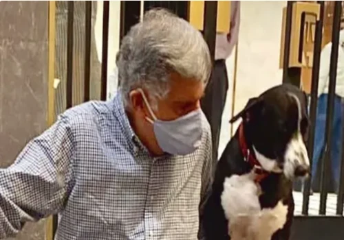 Ratan Tata’s Beloved Dog Goa Attends Annual ‘Blessing of the Animals’ Ceremony in Mumbai