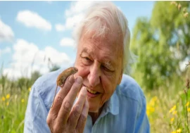 Why Sir David Attenborough Wouldn’t Live Anywhere Else but London