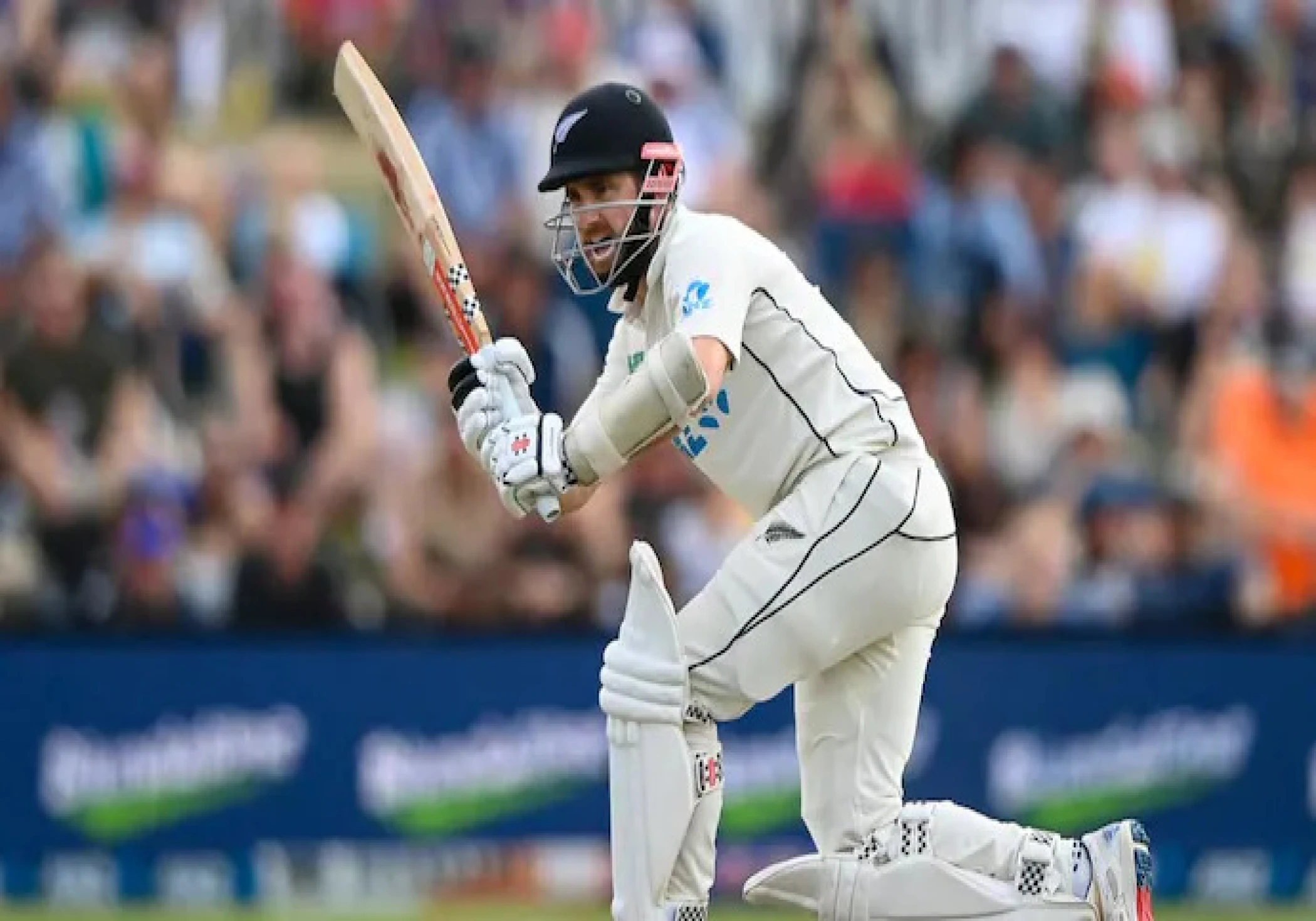 WTC25: New Zealand tour confirmed for England; series will begin on November 28 WTC25: New Zealand tour confirmed for England; series will begin on November 28